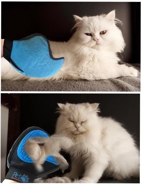 2-in-1 Pet Deshedding Tool For All Pets and Fur