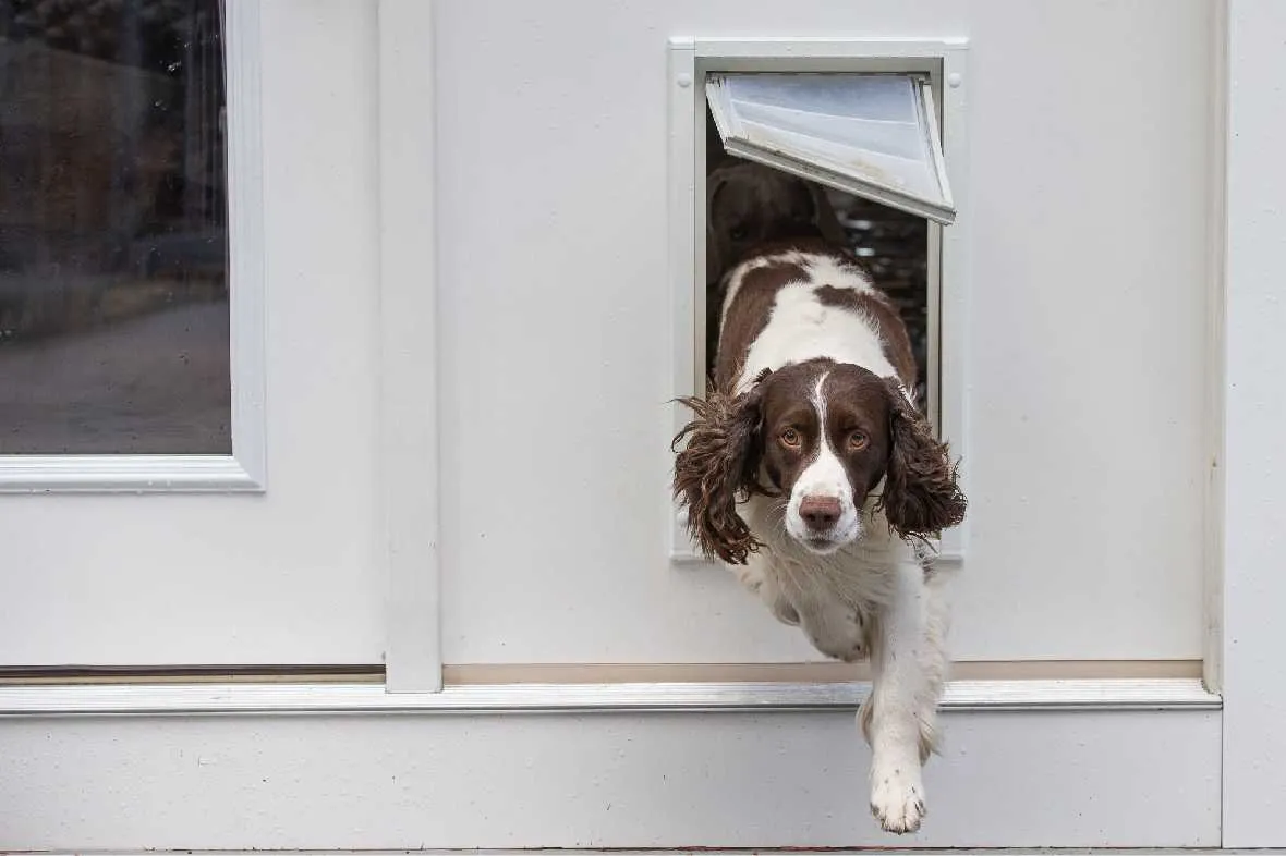 Endura Flap Original Dog Doors for Walls