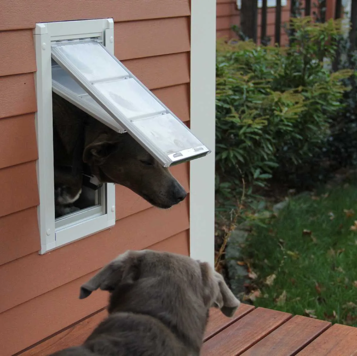 Endura Flap Original Dog Doors for Walls