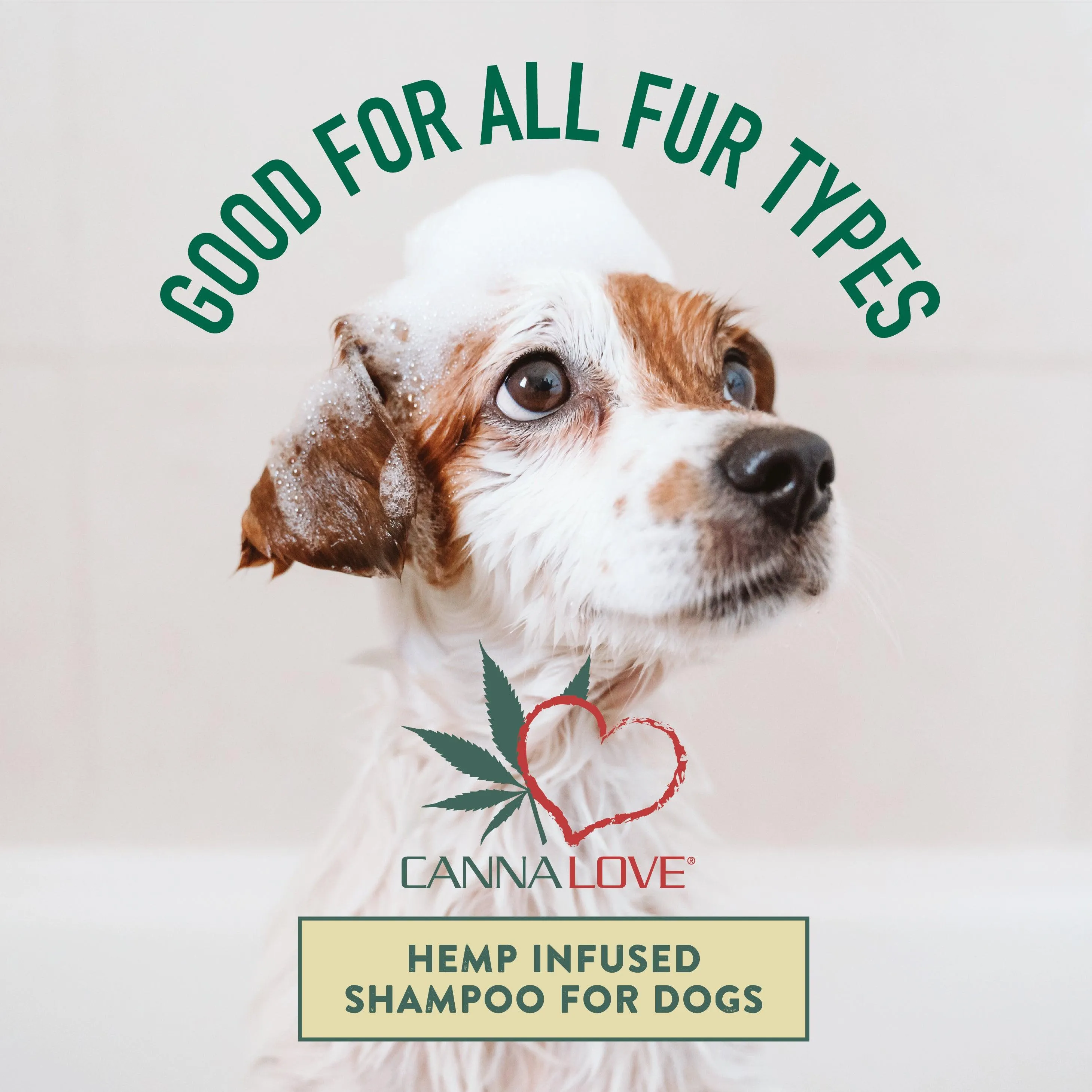 Puppy Shampoo