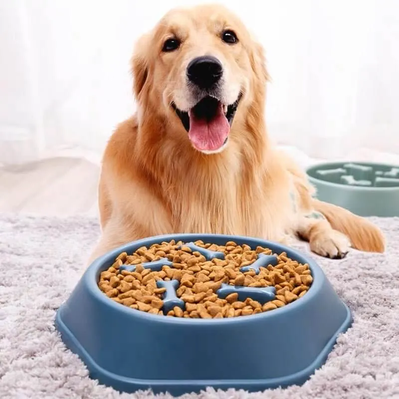 Slow Feeder Dog Food Bowl Bone Pattern Puzzle Pan