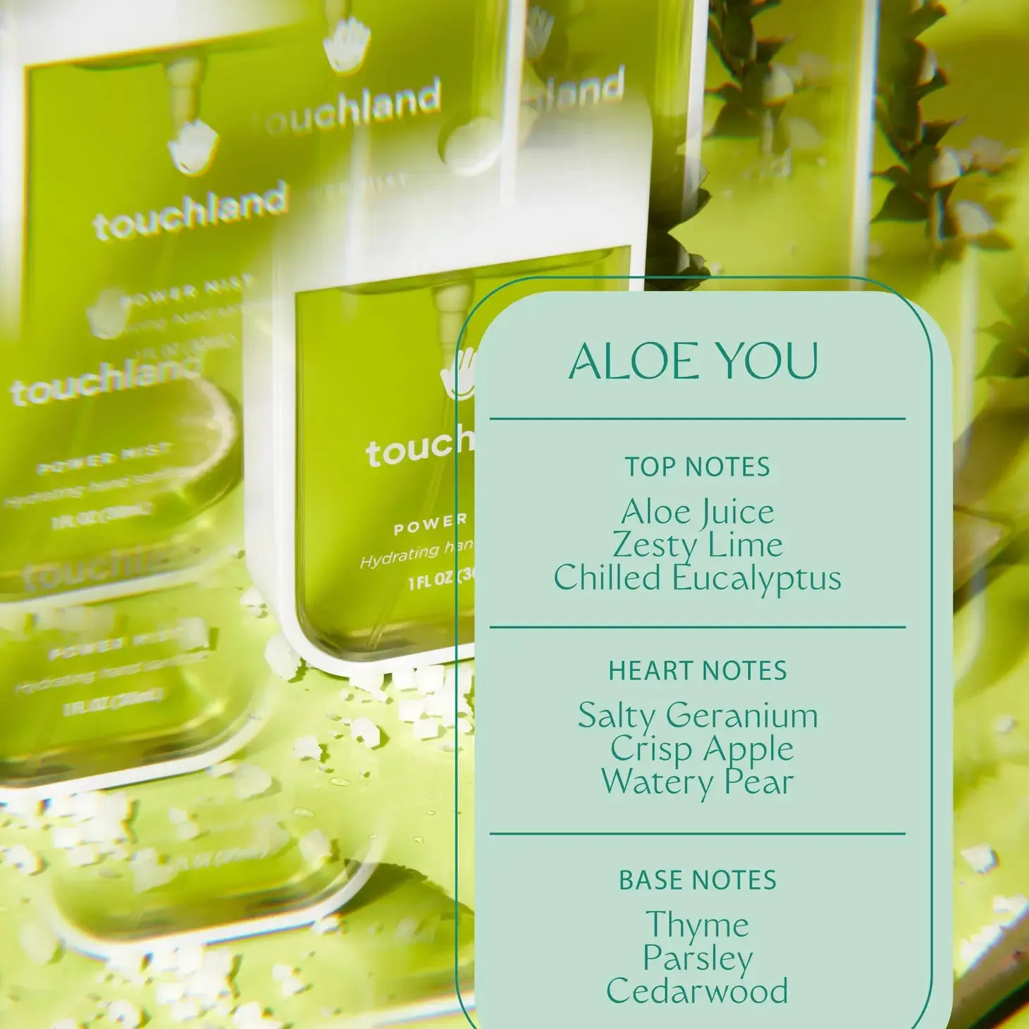 Touchland Power Mist | Aloe You