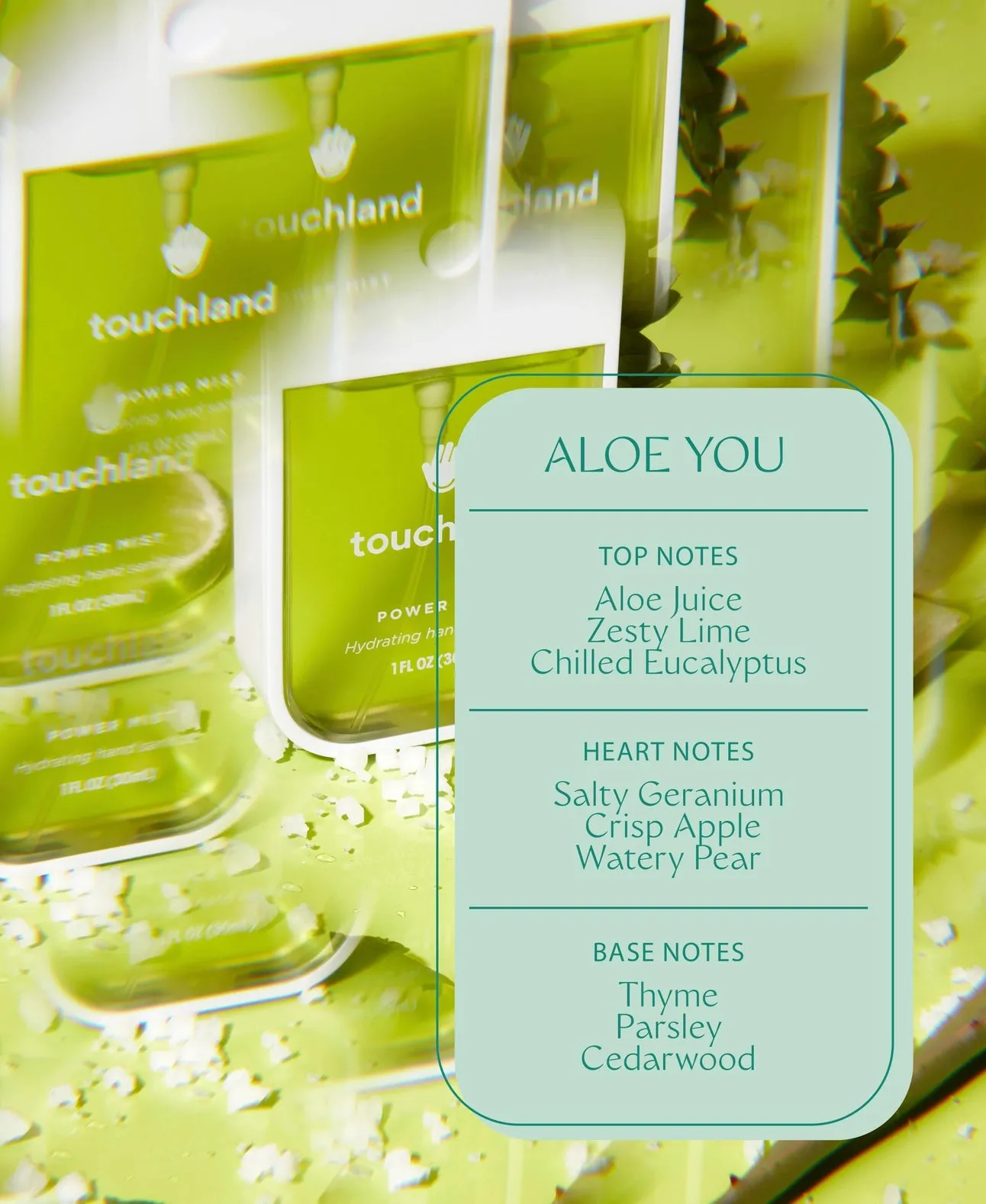 Touchland Power Mist Hand Sanitizer - Aloe You